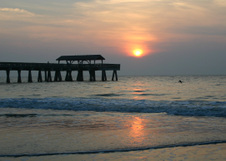Enlarge photo 298