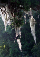 Enlarge photo 304