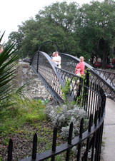 Enlarge photo 84