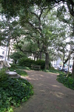 Enlarge photo 98