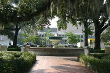 Enlarge photo 178