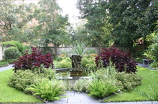 Enlarge photo 187