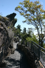 Enlarge photo 440