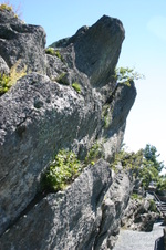 Enlarge photo 441