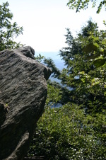 Enlarge photo 445