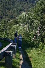 Enlarge photo 449