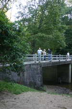 Enlarge photo 443
