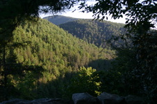 Enlarge photo 452