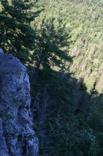 Enlarge photo 453