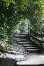 Enlarge photo 464