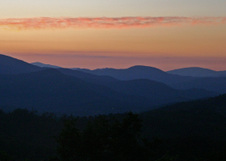 Enlarge photo 465