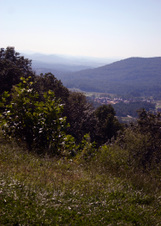 Enlarge photo 437