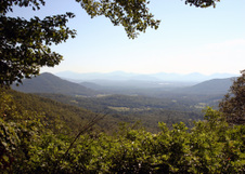 Enlarge photo 466