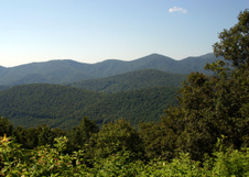 Enlarge photo 467