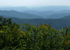 Enlarge photo 470