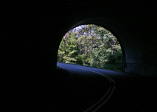 Enlarge photo 471