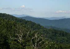 Enlarge photo 472