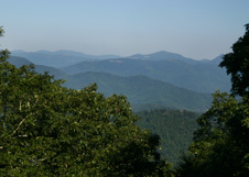 Enlarge photo 473