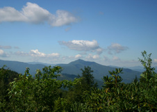 Enlarge photo 475