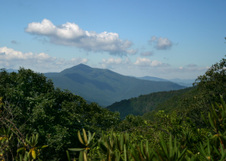 Enlarge photo 477
