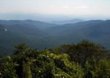 Enlarge photo 480