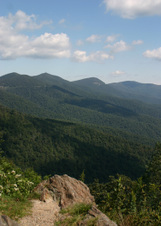 Enlarge photo 483
