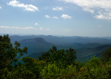 Enlarge photo 485
