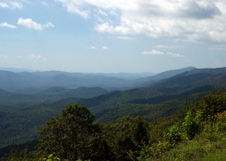 Enlarge photo 486