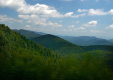 Enlarge photo 489