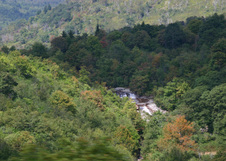 Enlarge photo 490