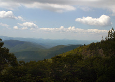 Enlarge photo 492