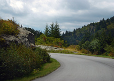 Enlarge photo 493