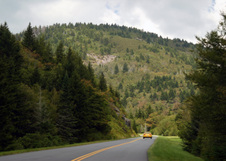 Enlarge photo 494