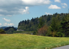 Enlarge photo 495