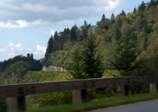 Enlarge photo 497