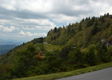 Enlarge photo 498