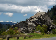 Enlarge photo 499