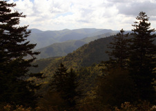 Enlarge photo 502