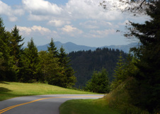 Enlarge photo 503