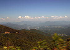 Enlarge photo 507