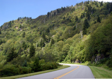 Enlarge photo 510