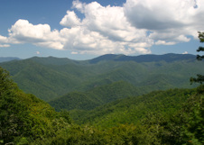 Enlarge photo 511
