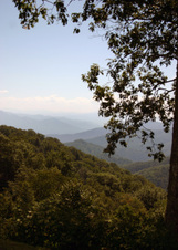 Enlarge photo 512