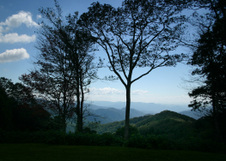 Enlarge photo 513