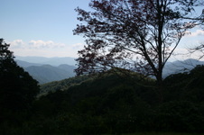 Enlarge photo 514