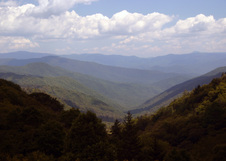 Enlarge photo 515