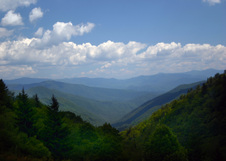 Enlarge photo 516