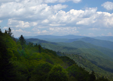 Enlarge photo 517