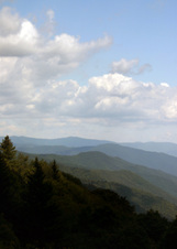 Enlarge photo 518