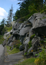 Enlarge photo 520
